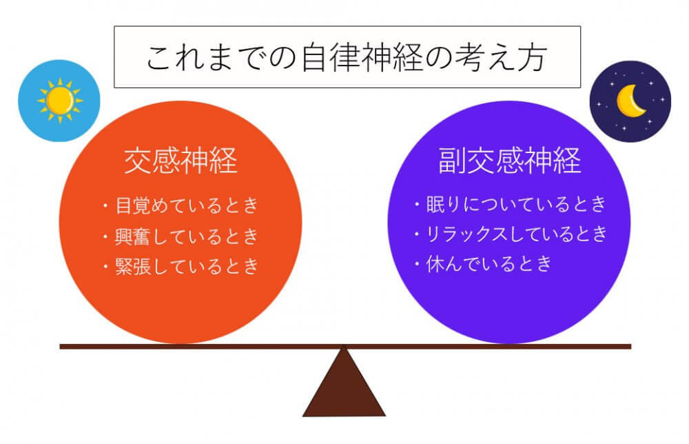 従来の自律神経の考え方