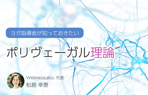 ヨガ指導者が知っておきたい！ポリヴェーガル理論とは？