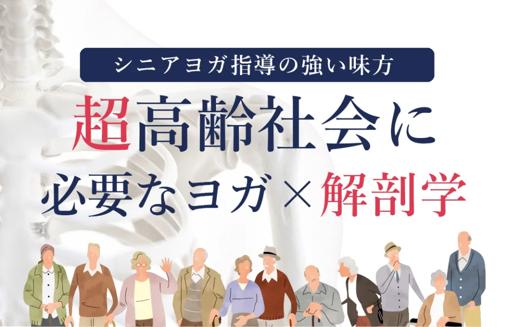 超高齢社会に必要なヨガ×解剖学