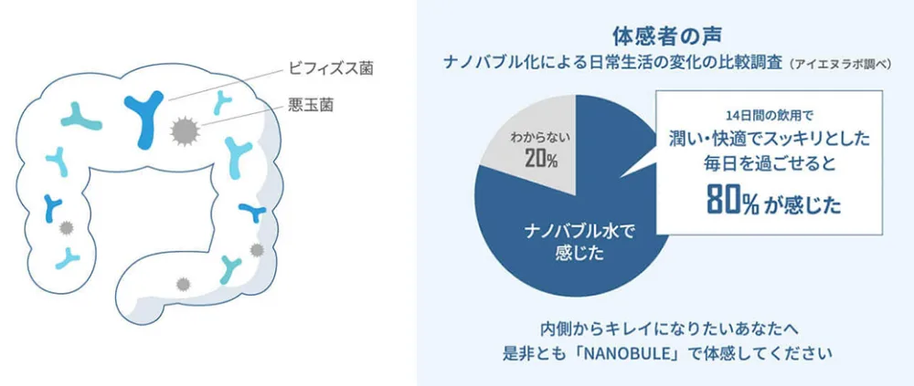 ナノバブルは浸透力が高く腸にも吸収されやすい