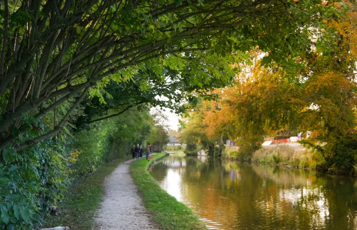 イギリスの自然に囲まれた川のある風景